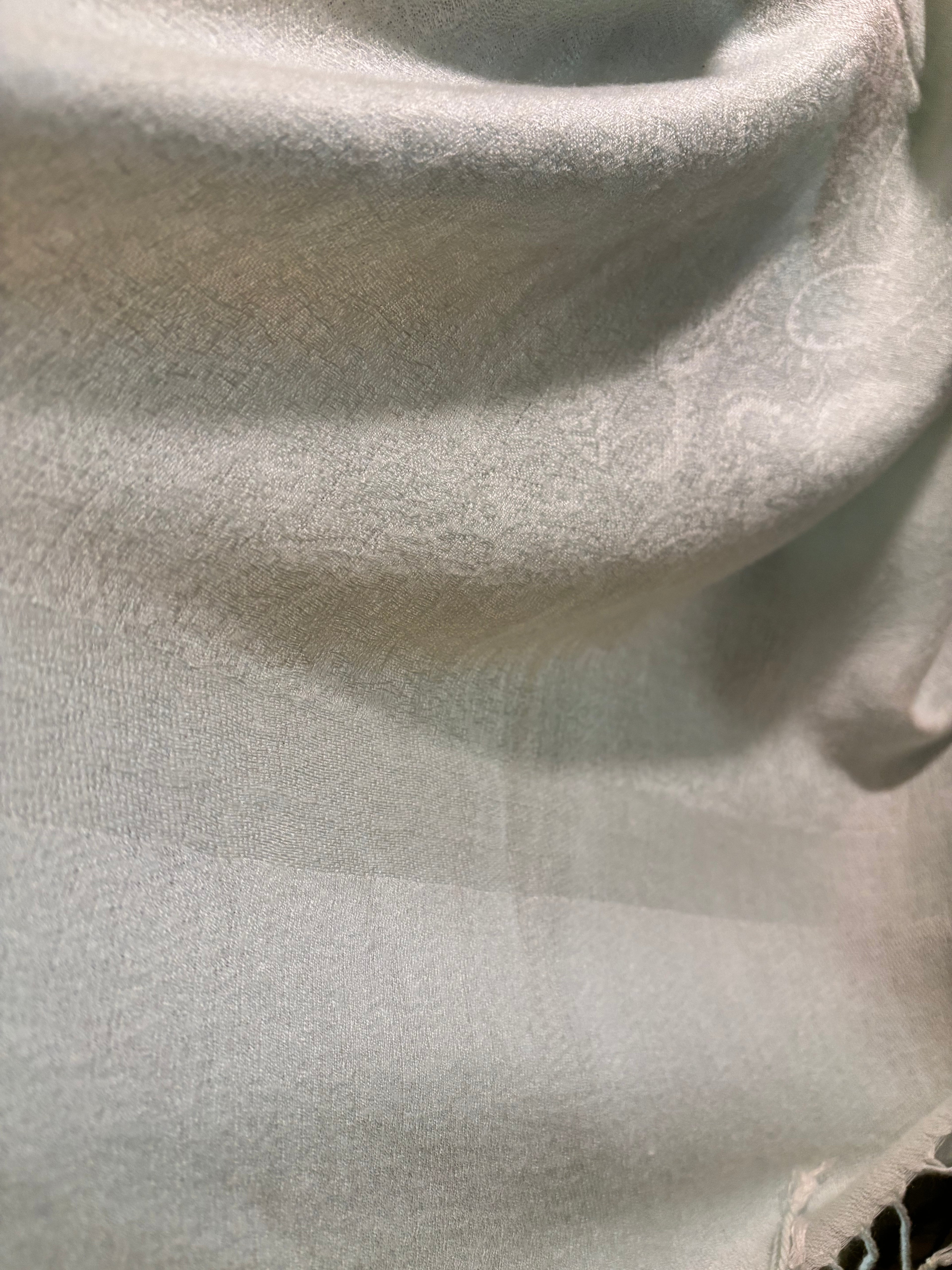 Elegant Vintage Pale Blue Authentic Pashmina