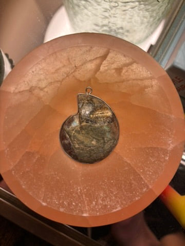 Ammonite Pendant with Silver Wire Mount
