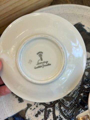 Schirnding Bavaria Porcelain Tea Cup & Saucer
