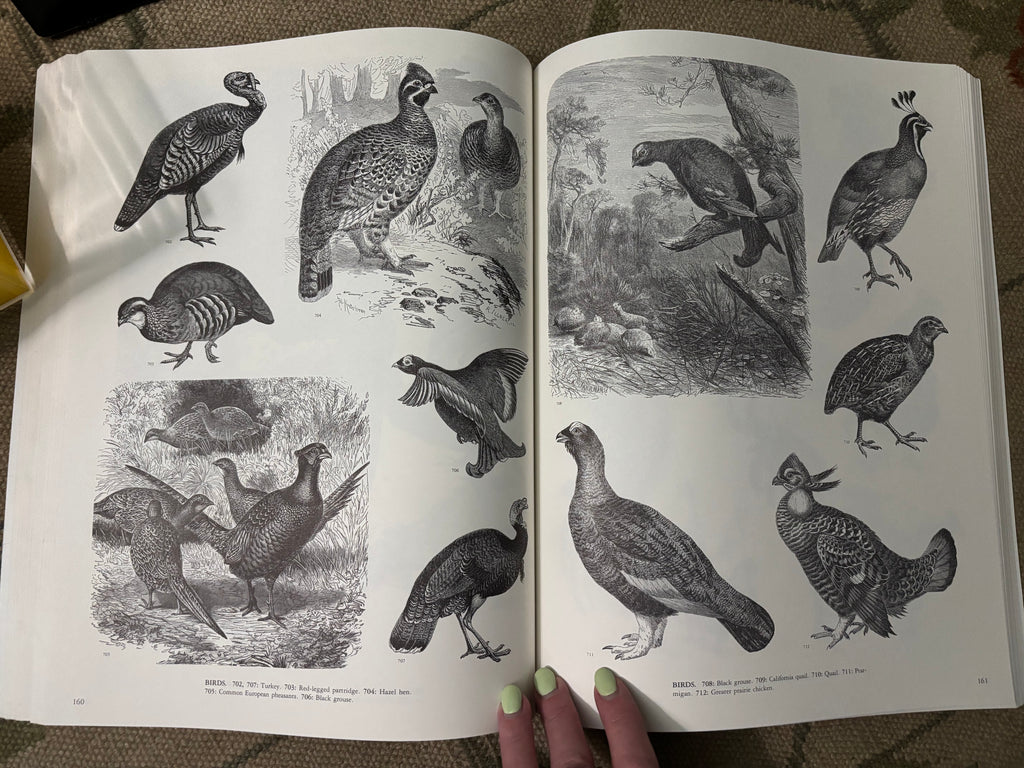 Animals: A Pictorial Archive from 19th Century Sources, by Jim Harter, 1979